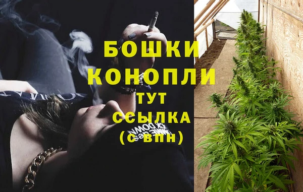 соль ск Балабаново