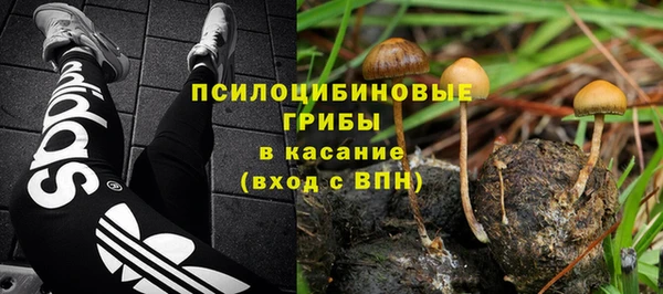 mdpv Баксан